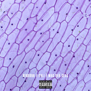 动漫爆浆一区二区
